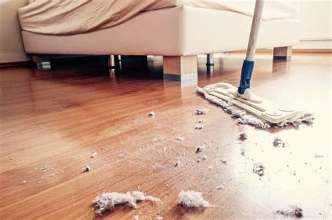 The Sparkling Solution: Using Dust to Shine and Clean Your Home